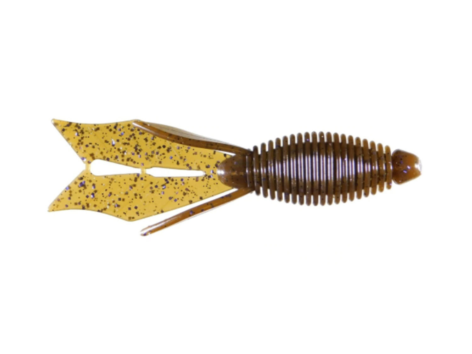 Express Bug 4.25"
